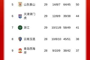 梅州先賽反超！中超積分榜：梅州、海牛積21分，相互戰(zhàn)績(jī)梅州占優(yōu)