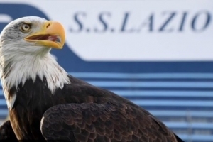 米體：拉齊奧將重啟主場(chǎng)放飛雄鷹儀式，將由新任馴鷹師負(fù)責(zé)訓(xùn)練