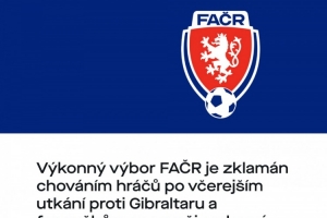 捷克足協(xié)向球迷致歉：紹切克將不再任隊(duì)長，球員們也不會(huì)獲得獎(jiǎng)金