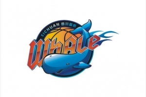 媒體人談四川隊(duì)：還是多方出面 按規(guī)則辦事 救活或沉淀幾年再回來